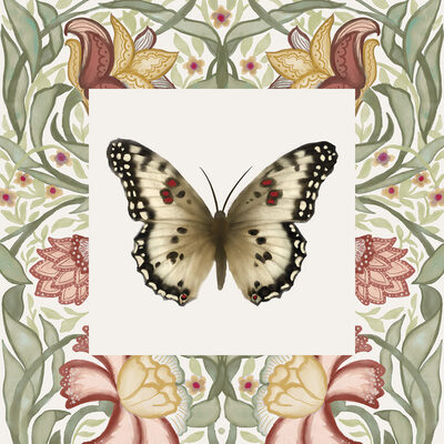Image Not Available